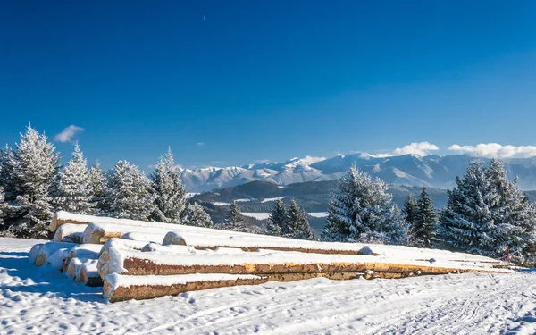 Snöiga landskap på solig dag. — Stockfoto