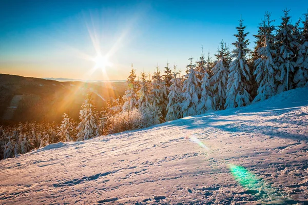 Winter mountain landscape in the early morning. — Stock Photo, Image