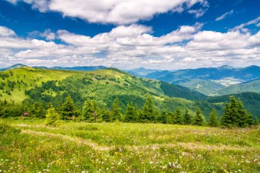 Çiçekli çayır ve dağlar, Bahar yatay.