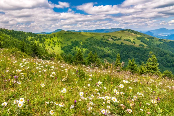 Paisagem de primavera com prados floridos e montanhas . — Fotografia de Stock
