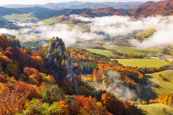 Bosques de colores brillantes del valle de la montaña en la niebla de la mañana . — Foto de Stock