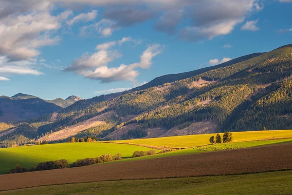 Piedmont manzarası, sonbaharda sabah ışığında çayırlar.. — Stok fotoğraf