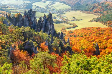 Sonbaharda dağ vadisinin parlak renkli ormanları.
