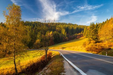 Sonbaharda ormanların etrafındaki yol.