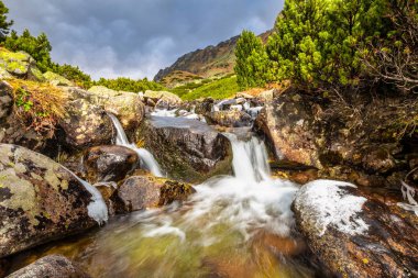 Sonbahar sonunda Mlynicka Vadisi 'ndeki Wild Creek' te.