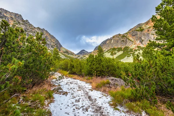 Bergsvandringsled i Mlynickadalen på senhösten. — Stockfoto