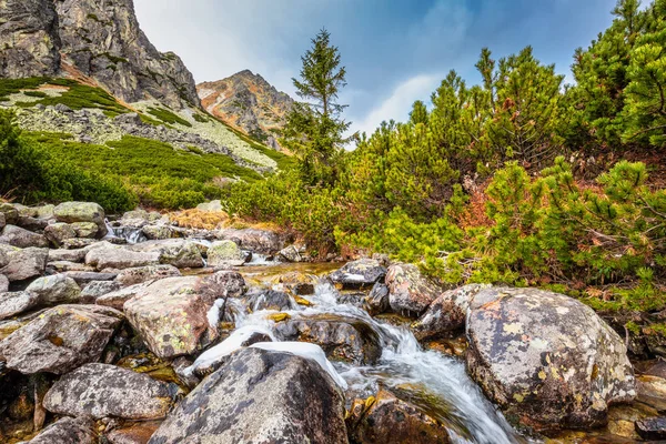 Sonbahar sonunda Mlynicka Vadisi 'ndeki Wild Creek' te.
