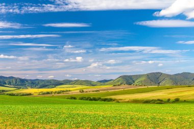 Kırsal alan, mavi gökyüzü ve bulutlu tarlalar.
