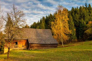 Vychylovka köyü yakınlarındaki ormandaki eski bir kır evi..