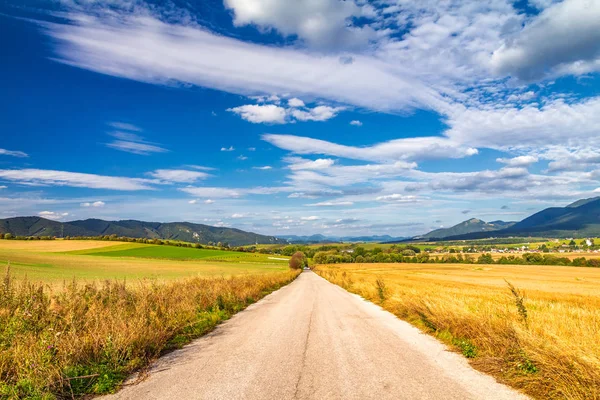 Camino alrededor de los campos a través del paisaje rural en el soleado día de verano . — Foto de Stock