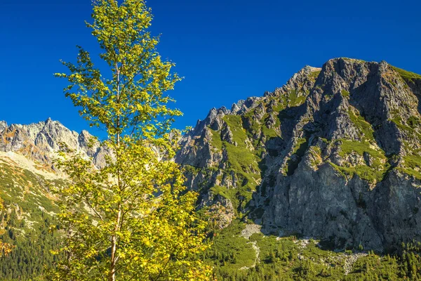 Mountain landscape at autumn season, High Tatras National Park.