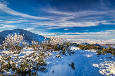Güneşli bir günde, vadilerde sisli bir kış manzarası