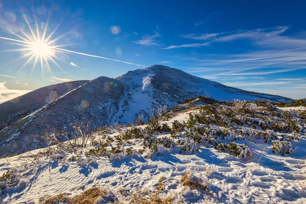 Vinter bergslandskap i en solig dag. — Stockfoto