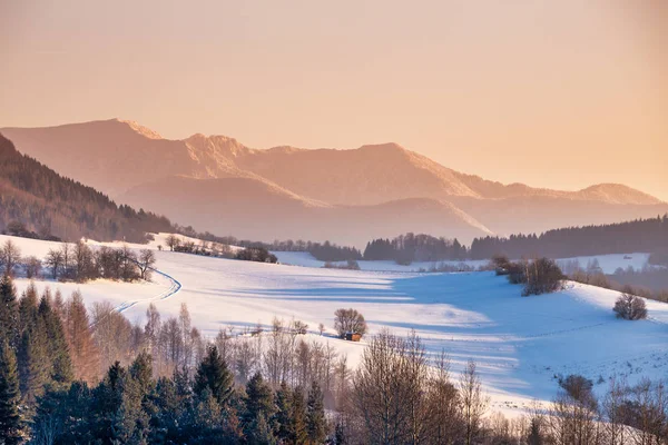 Snowy winter landscape with mountain range in the background. — Stock Photo, Image
