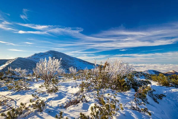 Vinter bergslandskap på en solig dag med dimma i dalarna — Stockfoto