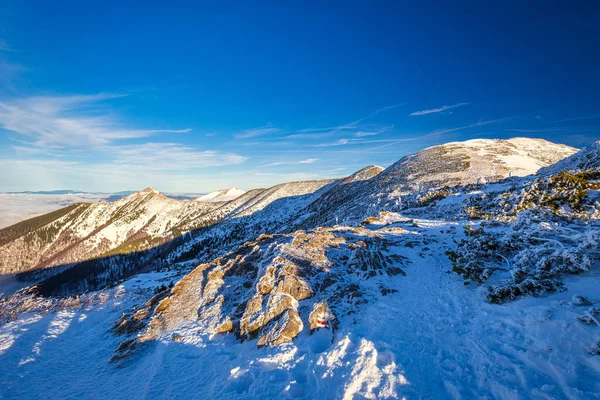 Paisaje de montaña de invierno en un día soleado . — Foto de Stock