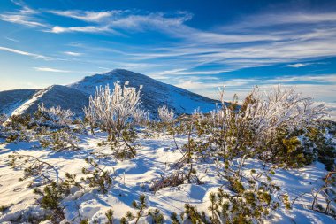 Güneşli bir günde kış dağı manzarası.