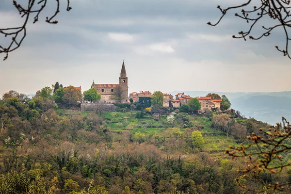 Groznjan, the ancient village on Istria in Croatia. — Stock Photo, Image
