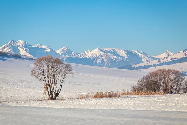 Widok na krajobraz ze śnieżnymi górami w słoneczny dzień. — Zdjęcie stockowe