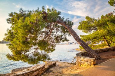 Günbatımında Porec yakınlarında ağaçları olan deniz betonu plajı, Hırvatistan - Istria, Avrupa.