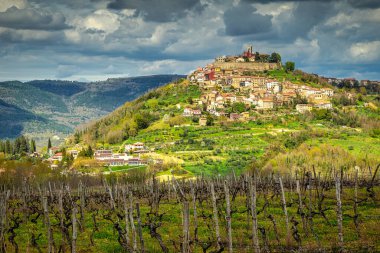 Motovun, Istria, Hırvatistan, Avrupa yarımadasındaki kırsal kesimi çevreleyen eski Akdeniz kasabası.
