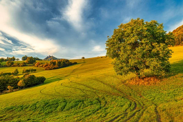手前に木のある秋の田園風景 国立自然保護区スロバキア スロバキア ヨーロッパ — ストック写真