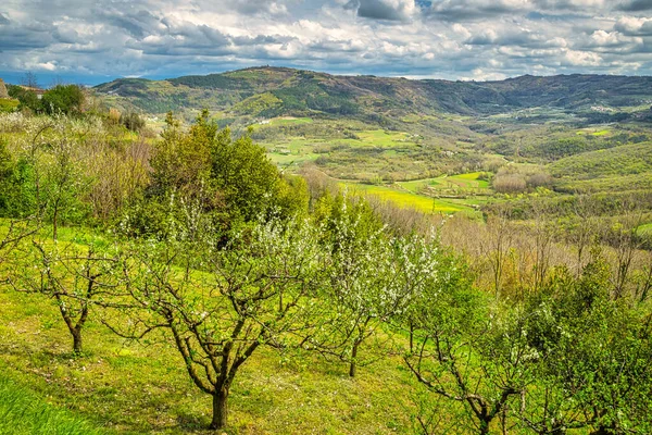 View Mountainous Landscape Interior Peninsula Istria Croatia Europe — Stock Photo, Image