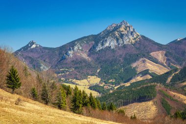 İlkbaharda dağlarla kaplı bir manzara. Avrupa 'nın Slovakya kentindeki Terchova köyü yakınlarındaki Mala Fatra Milli Parkı' ndaki Büyük Rozsutec tepesi..