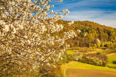 Kuzeybatı Slovakya, Avrupa 'daki Klapy doğa rezervi yakınlarındaki bahar manzarası.