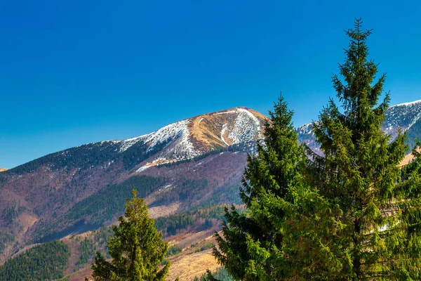 Paisaje Montaña Temporada Primavera Colina Stoh Valle Del Vratna Parque — Foto de Stock