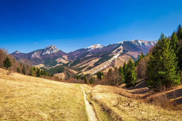 Landskap Med Berg Våren Vratna Valley Mala Fatra Nationalpark Slovakien — Stockfoto