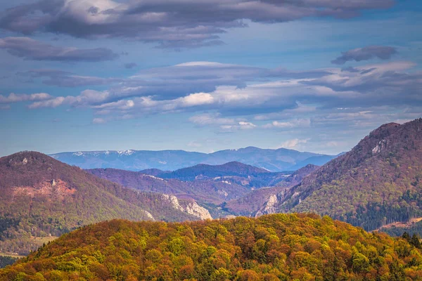 Widok Wąwóz Manin Obszarze Gór Sulov Północno Zachodniej Słowacji Europa — Zdjęcie stockowe