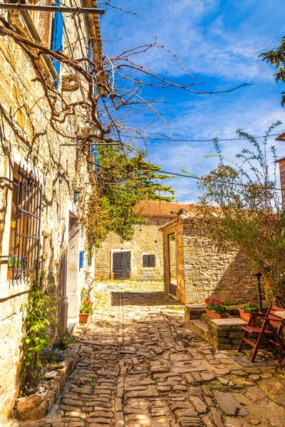 Enge Steinstraße Mit Alten Häusern Dorf Groznjan Istrien Kroatien Europa — Stockfoto