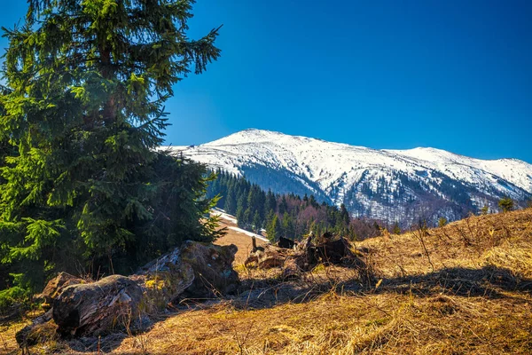 Paisaje Con Montañas Con Nieve Primavera Parque Nacional Mala Fatra — Foto de Stock