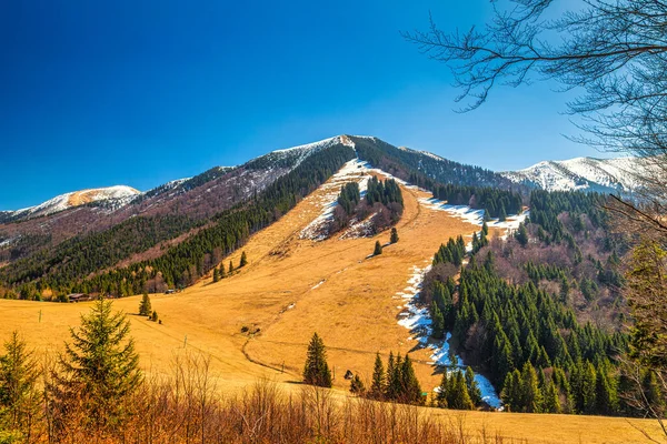 Paisaje Con Montañas Con Nieve Primavera Parque Nacional Mala Fatra — Foto de Stock