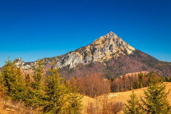Krajobraz Górami Wiosną Wielka Rozsutec Wzgórze Parku Narodowym Mała Fatra — Zdjęcie stockowe