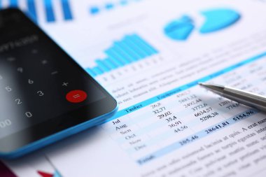 Smartphone hesap makinesi ve infographics mali istatistikler