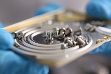 Küçük cıvata makro geri yüklemek için onarım dükkanda kaldırıldı.