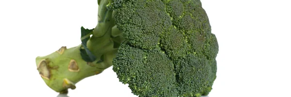 Broccoli isolerad på vit bakgrund — Stockfoto