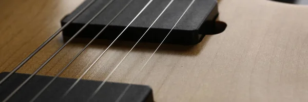 古典的な形木製エレク トリック ギター ローズウッド ネック付け — ストック写真