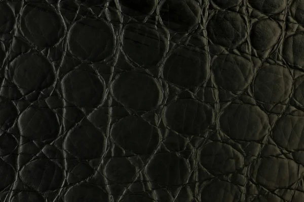 人工皮革の背景合成 — ストック写真