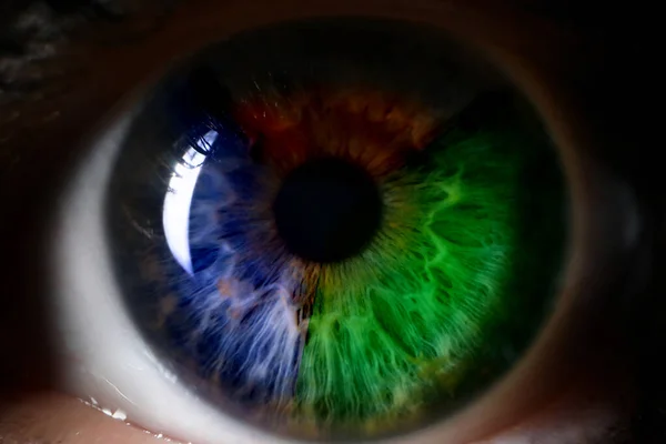 Red green blue human eye close up background