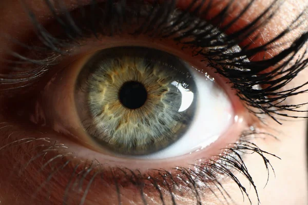Olho verde humano supermacro closeup fundo — Fotografia de Stock