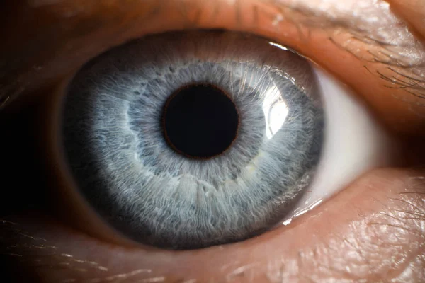 Голубой глаз человека супер крупный план — стоковое фото