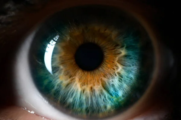 5,107 Iris Eye Stock Photos, High-Res Pictures, and Images - Getty Images