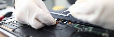 Beyaz koruyucu eldivenli erkek eller cımbızı tutar