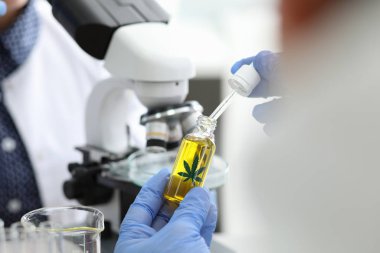 Biyolojik deney üzerinde takım çalışması