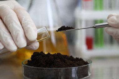 Beyaz koruyucu eldivenli kadın kimyager test tüpü tutuyor.