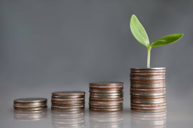 Gri arka planda gümüş metal madeni para bulunan harita kulesi