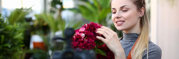 Kwiaciarnia Vlogger dotykając Red hortensja kwiat — Zdjęcie stockowe